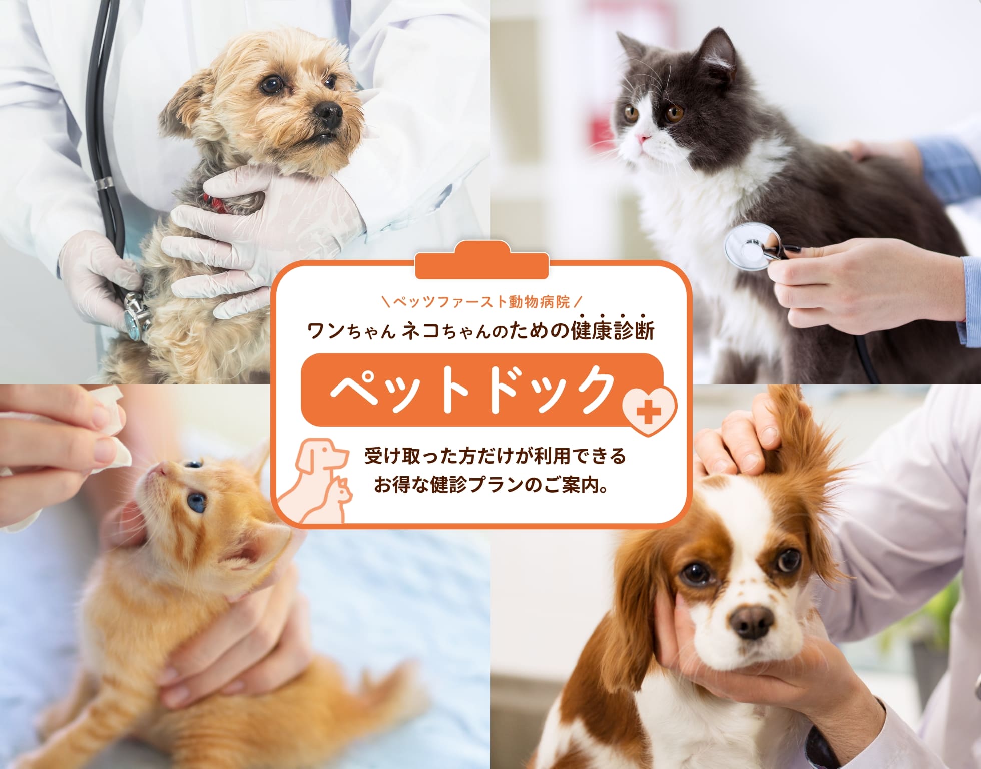 ペッツファースト動物病院 ワンちゃんネコちゃんのための健康診断 ペットドック 受け取った方だけが利用できるお得な健診プランのご案内