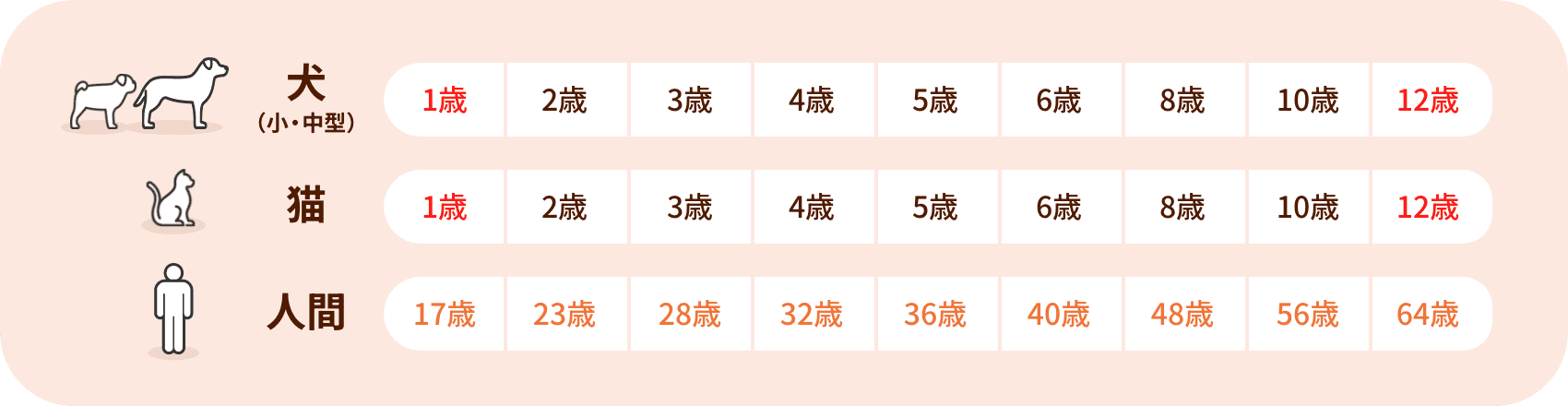 犬 （小・中型）1歳 2歳 3歳 4歳 5歳 6歳 8歳 10歳 12歳　猫 1歳 2歳 3歳 4歳 5歳 6歳 8歳 10歳 12歳　人間 17歳 23歳 28歳 32歳 36歳 40歳 48歳 56歳 64歳