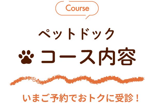 Course ペットドックコース内容 いまご予約でおトクに受診 !